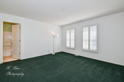 420 Brookside Ave, Algonquin, IL 60102 photo 35