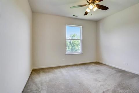 241 Boulder Ct, Gilberts, IL 60136 photo 20