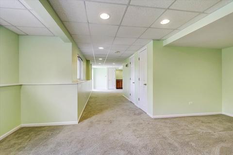 241 Boulder Ct, Gilberts, IL 60136 photo 23