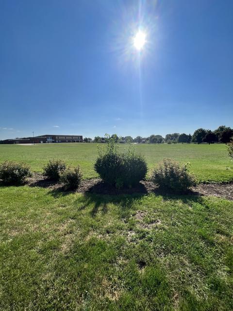 1546 Hunt Dr #A, Normal, IL 61761 photo 5