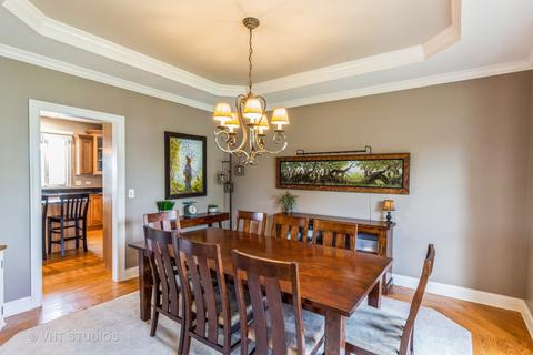 7 Wintergreen Ct, Algonquin, IL 60102 photo 8