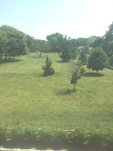 620 Mchenry Rd #304, Wheeling, IL 60090 photo 21