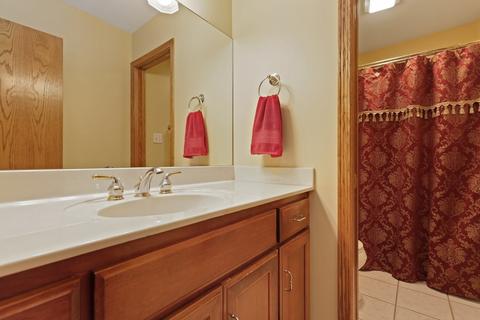 6010 Brookridge Dr, Plainfield, IL 60586 photo 22