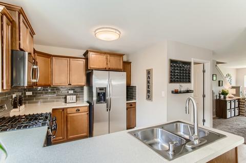 1652 Ruby Dr, Pingree Grove, IL 60140 photo 10