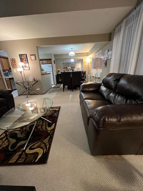 683 N Meadows Blvd, Addison, IL 60101 photo 12
