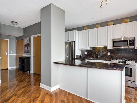 5 E 14th Pl #1003, Chicago, IL 60605 photo 8