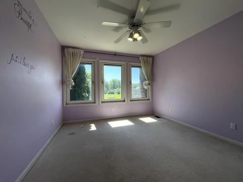 424 Rainbow Dr, Sleepy Hollow, IL 60118 photo 22