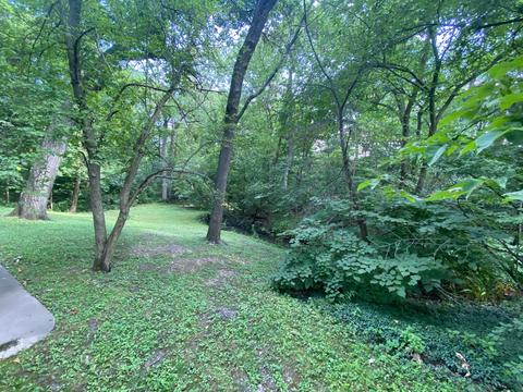 201 E Thorndale Ave, Roselle, IL 60172 photo 6