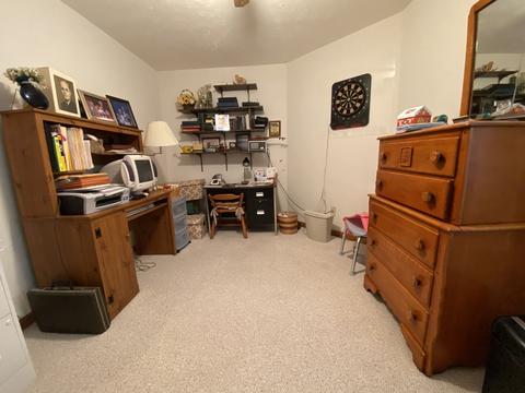 817 Sunset Dr, Dwight, IL 60420 photo 19