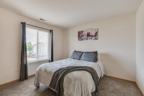 3030 Hoffman St, Plano, IL 60545 photo 15