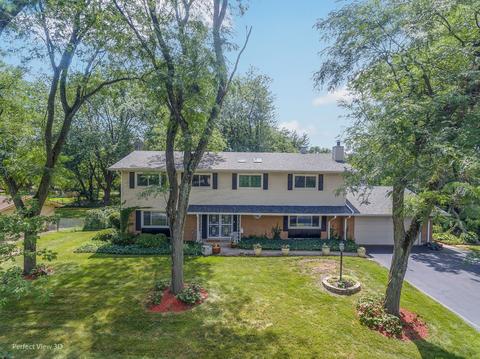 20724 Brookwood Dr, Olympia Fields, IL 60461 photo 2