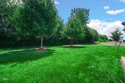 14345 General Ct, Plainfield, IL 60544 photo 34