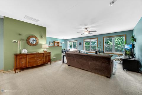 14345 General Ct, Plainfield, IL 60544 photo 14