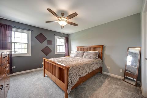 1603 Elm St, Spring Grove, IL 60081 photo 23