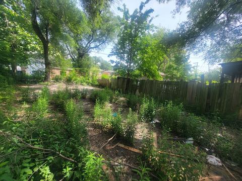 32 E 102nd Pl, Chicago, IL 60628 photo 13