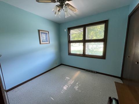 407 Oak St, Spring Valley, IL 61362 photo 35