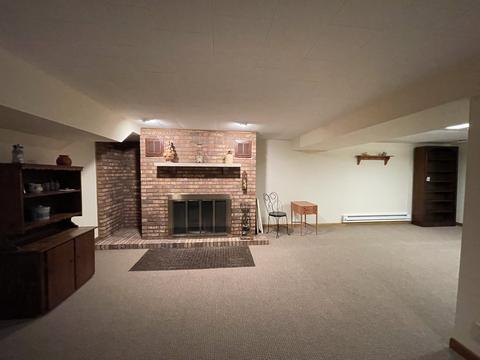 407 Oak St, Spring Valley, IL 61362 photo 18