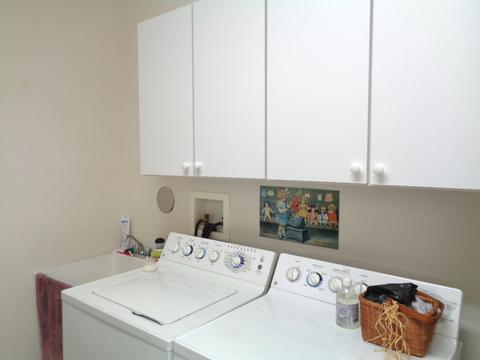 643 Tuscan View Dr, Elgin, IL 60124 photo 13