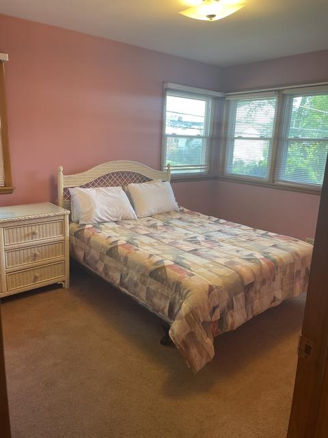 703 Ludlow Ave, Elgin, IL 60120 photo 8