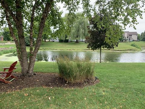 423 Hackney Ln, Oswego, IL 60543 photo 24