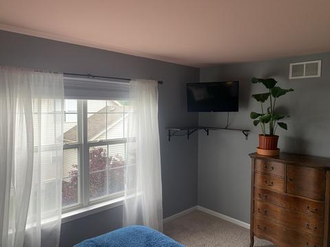 423 Hackney Ln, Oswego, IL 60543 photo 19