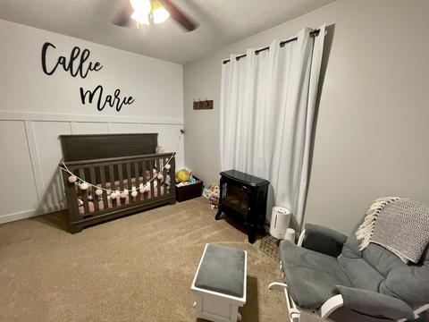 204 E Maple Ave, Cherry, IL 61317 photo 18