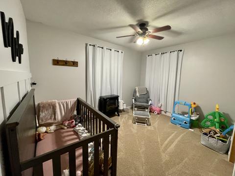 204 E Maple Ave, Cherry, IL 61317 photo 19