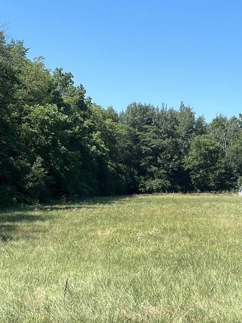 2706 County Road 1200 N, Homer, IL 61849