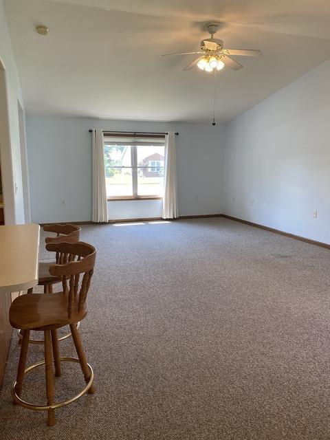 2913 Independence Dr, Peru, IL 61354 photo 11