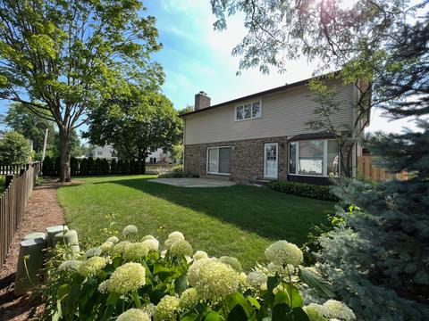 407 Ardmore Rd, Des Plaines, IL 60016 photo 29