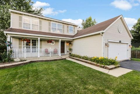 1426 Wildmint Trl, Elgin, IL 60123 photo 38