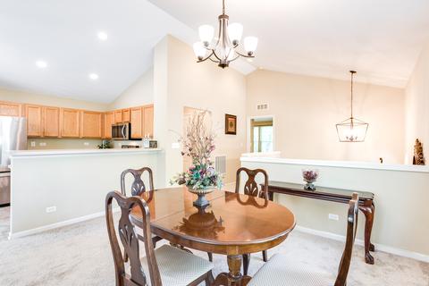 564 Conservatory Ln, Aurora, IL 60502 photo 5