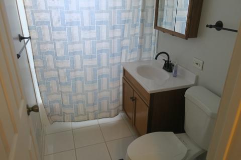 717 W Wrightwood Ave, Addison, IL 60101 photo 10