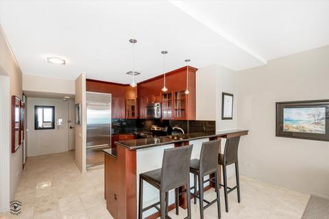 175 E Delaware Pl #6004, Chicago, IL 60611 photo 12