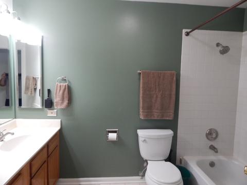 2020 Cloverdale Ln, Algonquin, IL 60102 photo 23