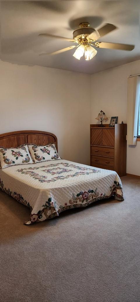 4320 W Offner Rd, Monee, IL 60449 photo 14