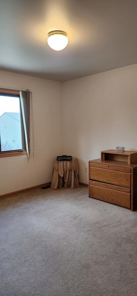 4320 W Offner Rd, Monee, IL 60449 photo 18