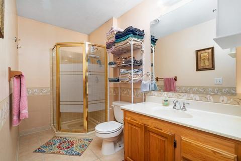 2390 E Stellon St, Diamond, IL 60416 photo 8