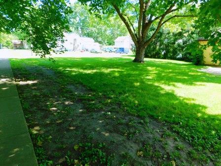 201 E Watson St, Forrest, IL 61741 photo 46