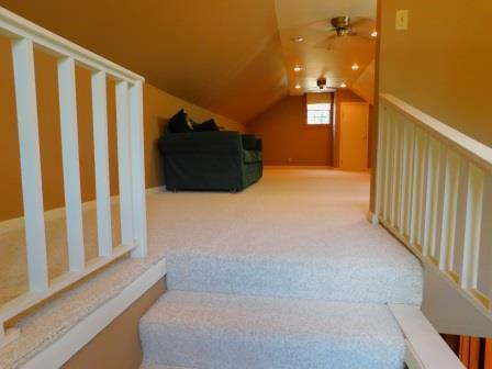 201 E Watson St, Forrest, IL 61741 photo 33