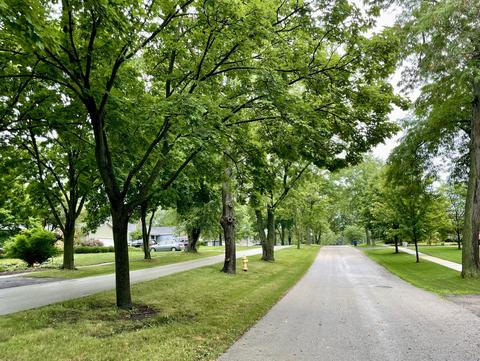 526 E Hawthorne Blvd, Wheaton, IL 60187 photo 3