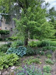 526 E Hawthorne Blvd, Wheaton, IL 60187 photo 57