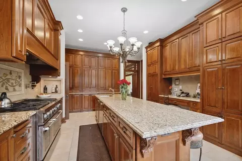 518 Keystone Ave, River Forest, IL 60305 photo 33
