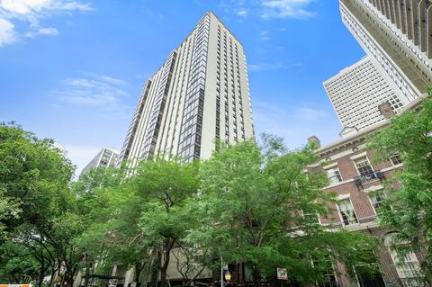 100 E Bellevue Pl #8E, Chicago, IL 60611 photo 1