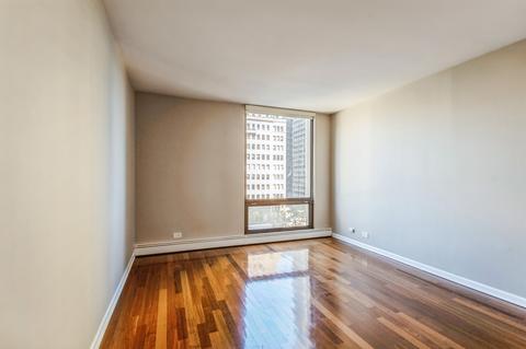 100 E Bellevue Pl #8E, Chicago, IL 60611 photo 12