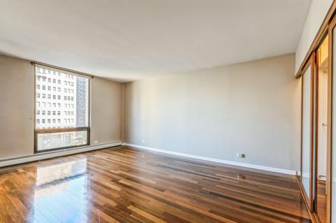 100 E Bellevue Pl #8E, Chicago, IL 60611 photo 13