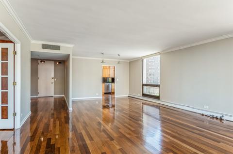 100 E Bellevue Pl #8E, Chicago, IL 60611 photo 6
