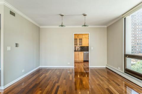 100 E Bellevue Pl #8E, Chicago, IL 60611 photo 5