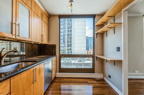 100 E Bellevue Pl #8E, Chicago, IL 60611 photo 7