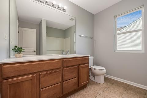 12305 Blue Iris Ln, Plainfield, IL 60585 photo 27